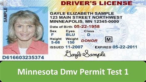 The number plates are placed in the front and back of the vehicle. . License lookup mn dmv